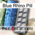 Blue Rhino Pill 34